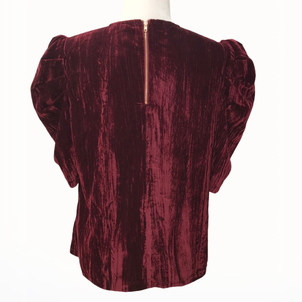 Leyden Velvet Top - Size: L - Picture 4 of 16